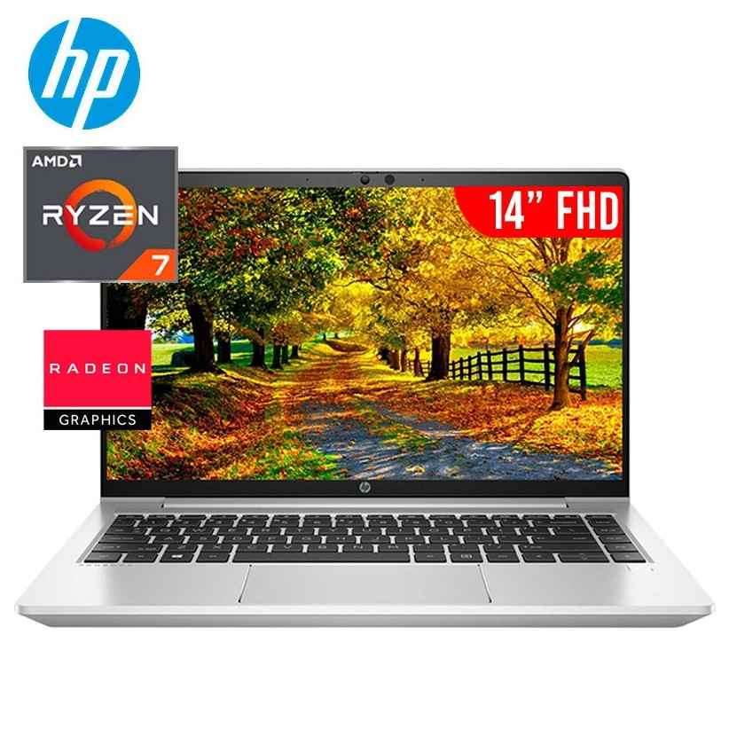 PROBOOK 445 G10 (R7)